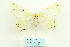  ( - ARB00028403)  @14 [ ] Copyright  SCDBC-KIZ-CAS, Imaging group Kunming Institute of Zoology, CAS