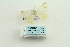  ( - ARB00028505)  @11 [ ] Copyright  SCDBC-KIZ-CAS, Imaging group Kunming Institute of Zoology, CAS