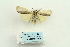  ( - ARB00028514)  @12 [ ] Copyright  SCDBC-KIZ-CAS, Imaging group Kunming Institute of Zoology, CAS