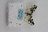  ( - ARB00009163)  @12 [ ] Copyright (2012) SCDBC-KIZ-CAS, Imaging group Kunming Institute of Zoology, CAS