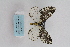  ( - ARB00009164)  @13 [ ] Copyright (2012) SCDBC-KIZ-CAS, Imaging group Kunming Institute of Zoology, CAS