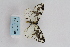  ( - ARB00009165)  @12 [ ] Copyright (2012) SCDBC-KIZ-CAS, Imaging group Kunming Institute of Zoology, CAS