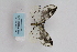  ( - ARB00009166)  @12 [ ] Copyright (2012) SCDBC-KIZ-CAS, Imaging group Kunming Institute of Zoology, CAS