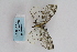  ( - ARB00009183)  @11 [ ] Copyright  SCDBC-KIZ-CAS, Imaging group Kunming Institute of Zoology, CAS