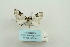  ( - ARB00009376)  @12 [ ] Copyright  SCDBC-KIZ-CAS, Imaging group Kunming Institute of Zoology, CAS