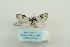  ( - ARB00009377)  @13 [ ] Copyright  SCDBC-KIZ-CAS, Imaging group Kunming Institute of Zoology, CAS
