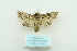  ( - ARB00009623)  @12 [ ] Copyright  SCDBC-KIZ-CAS, Imaging group Kunming Institute of Zoology, CAS