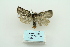  ( - ARB00009949)  @12 [ ] Copyright  SCDBC-KIZ-CAS, Imaging group Kunming Institute of Zoology, CAS