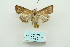  ( - ARB00010052)  @13 [ ] Copyright  SCDBC-KIZ-CAS, Imaging group Kunming Institute of Zoology, CAS