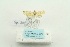 ( - ARB00023577)  @12 [ ] Copyright  SCDBC-KIZ-CAS, Imaging group Kunming Institute of Zoology, CAS