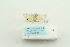  ( - ARB00023580)  @12 [ ] Copyright  SCDBC-KIZ-CAS, Imaging group Kunming Institute of Zoology, CAS