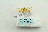  ( - ARB00023583)  @12 [ ] Copyright  SCDBC-KIZ-CAS, Imaging group Kunming Institute of Zoology, CAS