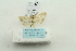  ( - ARB00023615)  @12 [ ] Copyright  SCDBC-KIZ-CAS, Imaging group Kunming Institute of Zoology, CAS