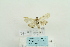  ( - ARB00023616)  @12 [ ] Copyright  SCDBC-KIZ-CAS, Imaging group Kunming Institute of Zoology, CAS
