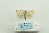  ( - ARB00023617)  @12 [ ] Copyright  SCDBC-KIZ-CAS, Imaging group Kunming Institute of Zoology, CAS