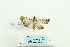  ( - ARB00023770)  @13 [ ] Copyright  SCDBC-KIZ-CAS, Imaging group Kunming Institute of Zoology, CAS