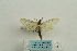  ( - ARB00023895)  @13 [ ] Copyright  SCDBC-KIZ-CAS, Imaging group Kunming Institute of Zoology, CAS