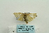  ( - ARB00024535)  @12 [ ] Copyright  SCDBC-KIZ-CAS, Imaging group Kunming Institute of Zoology, CAS