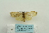  ( - ARB00024543)  @13 [ ] Copyright  SCDBC-KIZ-CAS, Imaging group Kunming Institute of Zoology, CAS