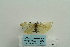  ( - ARB00024569)  @12 [ ] Copyright  SCDBC-KIZ-CAS, Imaging group Kunming Institute of Zoology, CAS