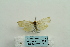  ( - ARB00024571)  @12 [ ] Copyright  SCDBC-KIZ-CAS, Imaging group Kunming Institute of Zoology, CAS