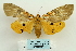 ( - ARB00024625)  @13 [ ] Copyright  SCDBC-KIZ-CAS, Imaging group Kunming Institute of Zoology, CAS