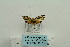  ( - ARB00024648)  @13 [ ] Copyright  SCDBC-KIZ-CAS, Imaging group Kunming Institute of Zoology, CAS