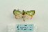  ( - ARB00024818)  @12 [ ] Copyright  SCDBC-KIZ-CAS, Imaging group Kunming Institute of Zoology, CAS