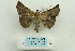  ( - ARB00025110)  @12 [ ] Copyright  SCDBC-KIZ-CAS, Imaging group Kunming Institute of Zoology, CAS