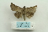  ( - ARB00025111)  @12 [ ] Copyright  SCDBC-KIZ-CAS, Imaging group Kunming Institute of Zoology, CAS