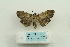  ( - ARB00025143)  @12 [ ] Copyright  SCDBC-KIZ-CAS, Imaging group Kunming Institute of Zoology, CAS