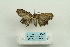  ( - ARB00025144)  @12 [ ] Copyright  SCDBC-KIZ-CAS, Imaging group Kunming Institute of Zoology, CAS