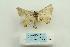  ( - ARB00025165)  @13 [ ] Copyright  SCDBC-KIZ-CAS, Imaging group Kunming Institute of Zoology, CAS