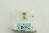  ( - ARB00025318)  @11 [ ] Copyright  SCDBC-KIZ-CAS, Imaging group Kunming Institute of Zoology, CAS