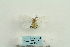  ( - ARB00025319)  @11 [ ] Copyright  SCDBC-KIZ-CAS, Imaging group Kunming Institute of Zoology, CAS