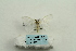  ( - ARB00025320)  @11 [ ] Copyright  SCDBC-KIZ-CAS, Imaging group Kunming Institute of Zoology, CAS