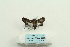  ( - ARB00025378)  @12 [ ] Copyright  SCDBC-KIZ-CAS, Imaging group Kunming Institute of Zoology, CAS