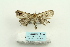  ( - ARB00025425)  @12 [ ] Copyright  SCDBC-KIZ-CAS, Imaging group Kunming Institute of Zoology, CAS