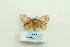  ( - ARB00025639)  @13 [ ] Copyright  SCDBC-KIZ-CAS, Imaging group Kunming Institute of Zoology, CAS