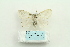  ( - ARB00025786)  @13 [ ] Copyright  SCDBC-KIZ-CAS, Imaging group Kunming Institute of Zoology, CAS