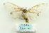 ( - ARB00025819)  @13 [ ] Copyright  SCDBC-KIZ-CAS, Imaging group Kunming Institute of Zoology, CAS