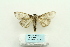  ( - ARB00025941)  @13 [ ] Copyright  SCDBC-KIZ-CAS, Imaging group Kunming Institute of Zoology, CAS