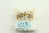  ( - ARB00026182)  @12 [ ] Copyright  SCDBC-KIZ-CAS, Imaging group Kunming Institute of Zoology, CAS