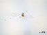 ( - Aphis glycines-P22)  @11 [ ] CreativeCommons - Attribution Share-Alike (2024) Unspecified University of Montreal