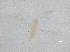  ( - QMOR87654)  @11 [ ] Unspecified (default): All Rights Reserved  Unspecified Unspecified
