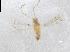  ( - QMOR87936)  @11 [ ] Unspecified (default): All Rights Reserved  Unspecified Unspecified