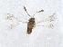  ( - QMOR88212)  @11 [ ] Unspecified (default): All Rights Reserved  Unspecified Unspecified