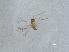  ( - QMOR88478)  @11 [ ] Unspecified (default): All Rights Reserved  Unspecified Unspecified