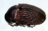  ( - NK2466)  @11 [ ] Copyright (2024) Mikhail Mandelshtam Research collection of Mikhail Mandelshtam