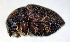  ( - NK2467)  @11 [ ] Copyright (2024) Mikhail Mandelshtam Research collection of Mikhail Mandelshtam